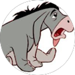 Profile photo of R R