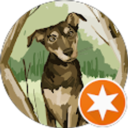 Profile photo of Mrs Banderas