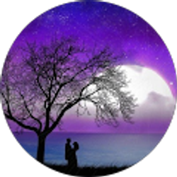 Profile photo of rebecka scanlin