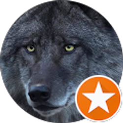 Profile photo of Kim Hardin