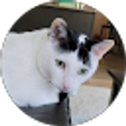 Profile photo of TRENA RABY