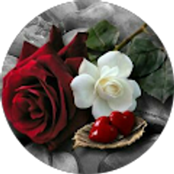 Profile photo of White Cobra