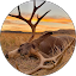 Profile photo of Randy Derzapf