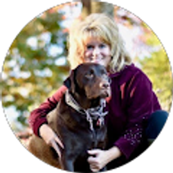 Profile photo of B. D.