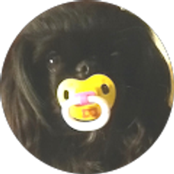 Profile photo of J Hankins