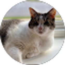 Profile photo of Heather Bachman-Smith