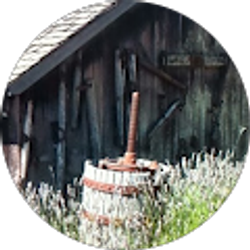 Profile photo of D Hincks