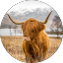 Profile photo of heather tuttle