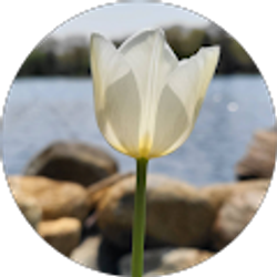 Profile photo of Keyla Roy