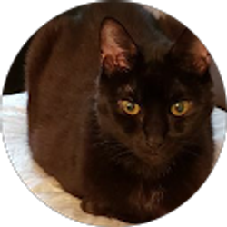 Profile photo of Ren Brown