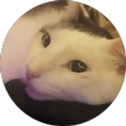 Profile photo of Dg 85