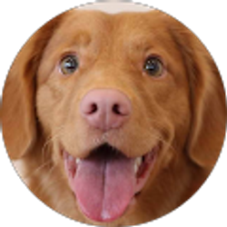 Profile photo of Kim Laquerre