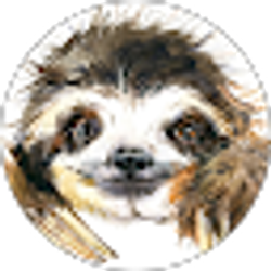 Profile photo of Brittany Amaya