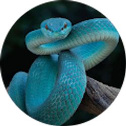 Profile photo of Nicholas Lubold (Ezy1ryb)