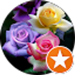 Profile photo of Marissa M