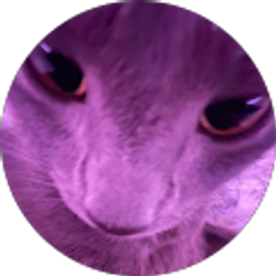 Profile photo of ayesha
