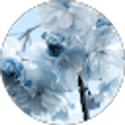 Profile photo of Merry Kim