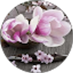 Profile photo of Jessica Skeen