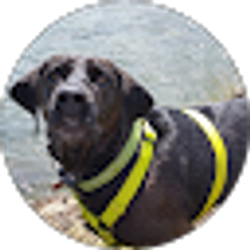 Profile photo of Craig Cross