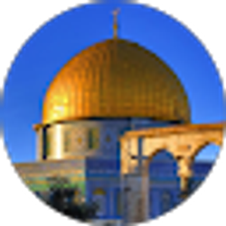 Profile photo of Osama Malak