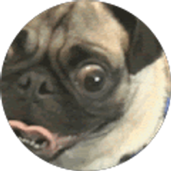 Profile photo of mr nope