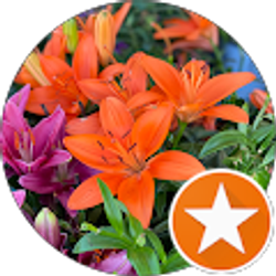 Profile photo of Tee 00