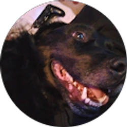 Profile photo of Joshua Kane