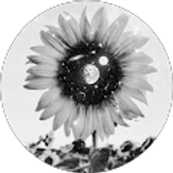 Profile photo of eren yeager