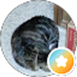 Profile photo of Steve Maz