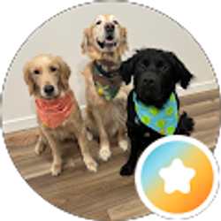 Profile photo of Molly Pfleiger