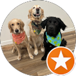 Profile photo of Molly Pfleiger