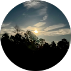 Profile photo of Max Gruber