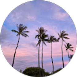 Profile photo of Alyssa Lee