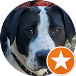 Profile photo of Phil Lertora