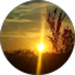 Profile photo of Lyssa Marie
