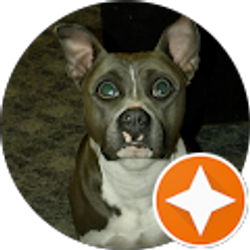 Profile photo of Laticia Clineman