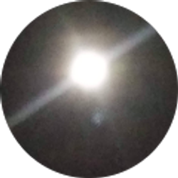 Profile photo of Rosemary Day