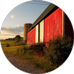 Profile photo of Elizabeth silva