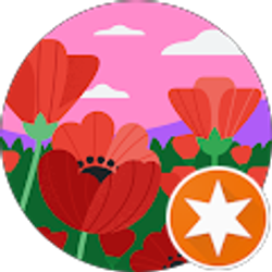 Profile photo of Rheana Rice