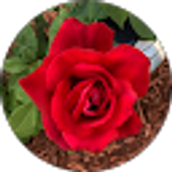Profile photo of Vanlapa Means