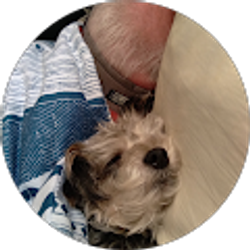 Profile photo of Tammy Dowell