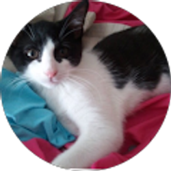 Profile photo of Kelli Klatt