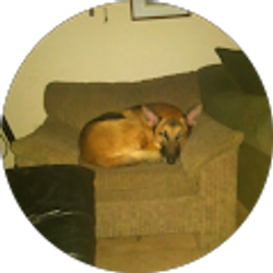 Profile photo of Harold Cooper