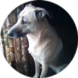 Profile photo of Julie Morgan