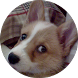 Profile photo of Linda Banks