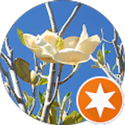 Profile photo of Khadija Z.