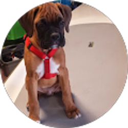 Profile photo of Heather Fetter