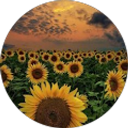 Profile photo of Shel Ly