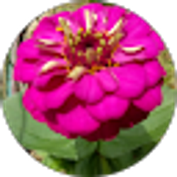 Profile photo of Idi Montalvo