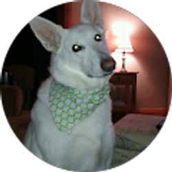 Profile photo of Julie Hanson